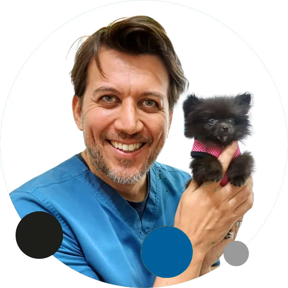 Dr. Vito Castellana