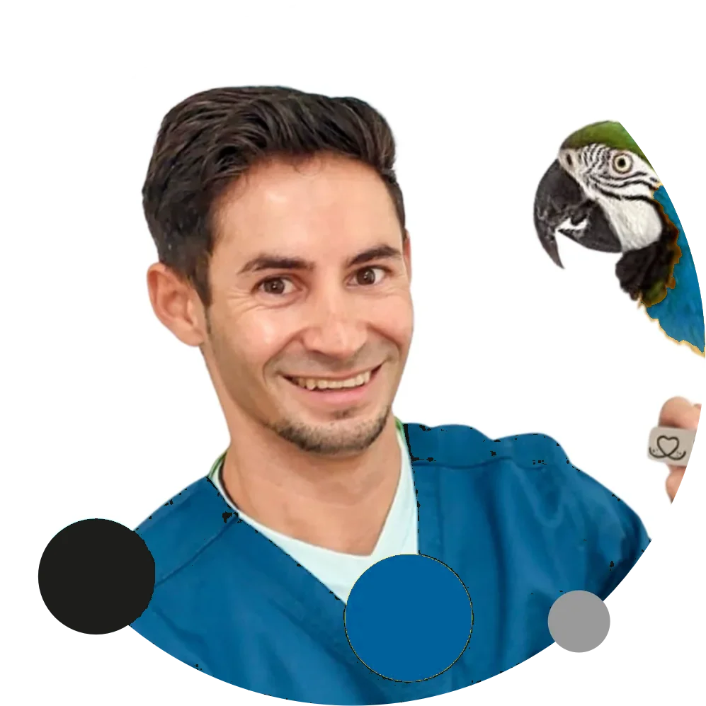 Dr. Victor