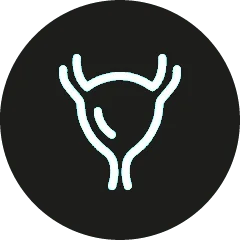 İdrar Yolu Tıkanıklıkları (Uretral Uretrostomi)